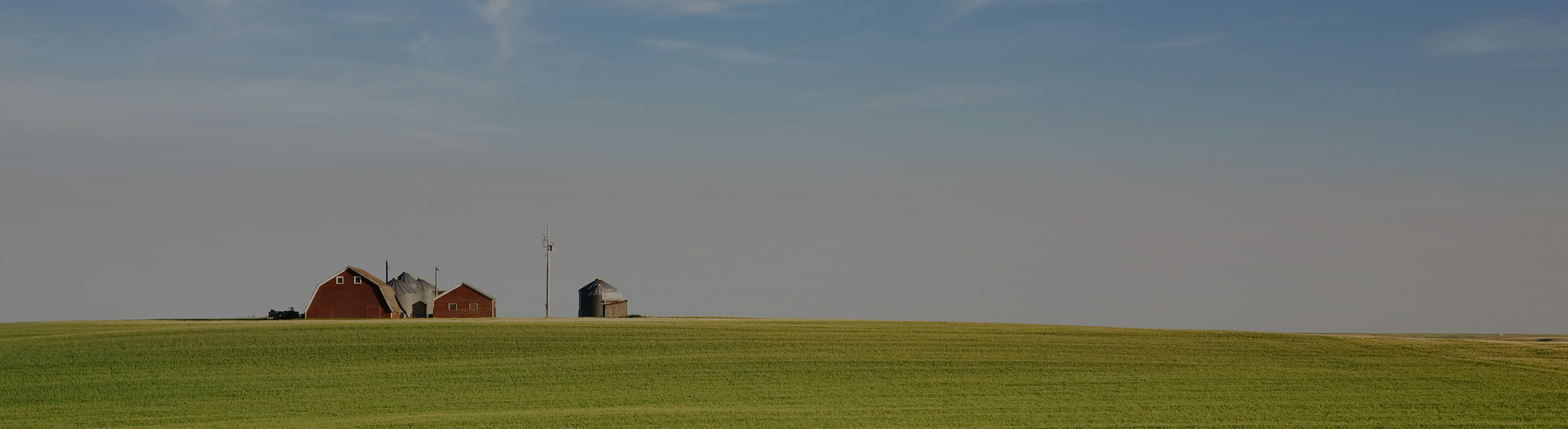 Saskatchewan Landscape